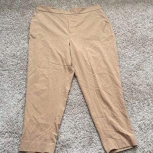 Banana Republic Tan Trousers